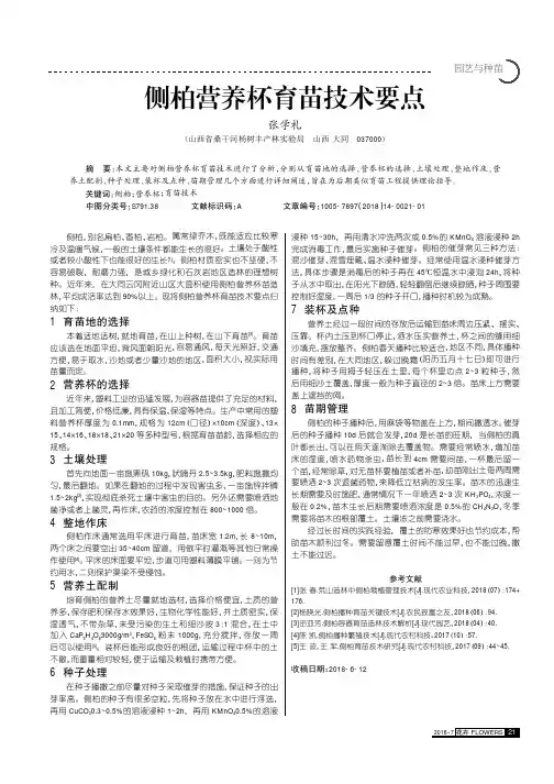 侧柏营养杯育苗技术要点