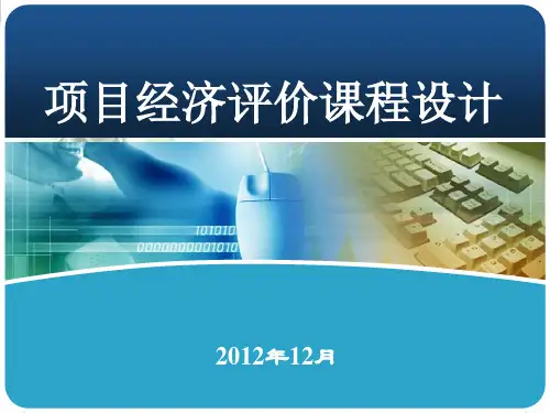 项目经济评价课设