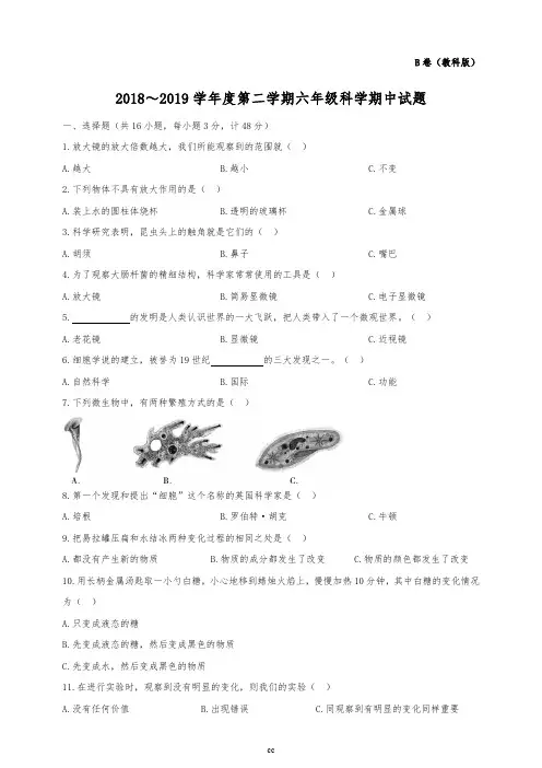 教科版科学2018～2019学年度第二学期六年级期中试题卷B