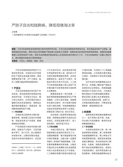 严防子宫炎和肢蹄病,降低母猪淘汰率