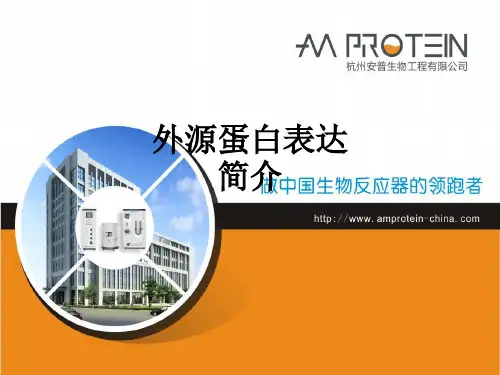 外源蛋白表达简介ppt课件