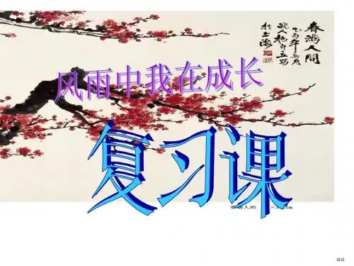 刘菲风雨中我在成长复习课
