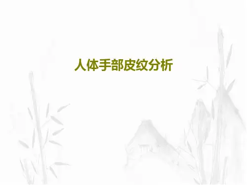 人体手部皮纹分析共24页文档