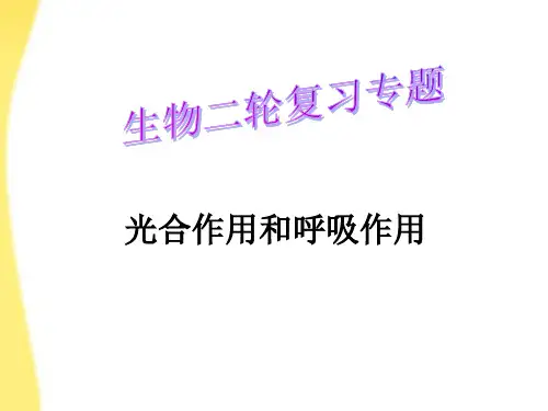 203高三生物二轮光合作用和呼吸作用专题复习PPT课件