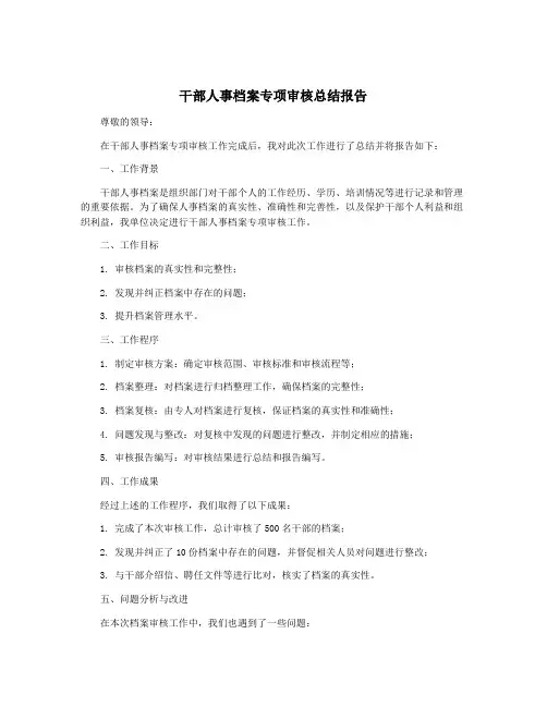 干部人事档案专项审核总结报告
