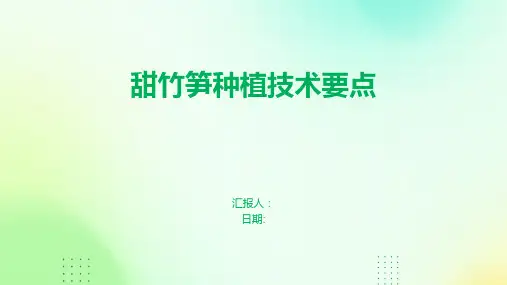 甜竹笋种植技术要点