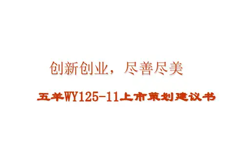 五羊摩托车上市策划建议书