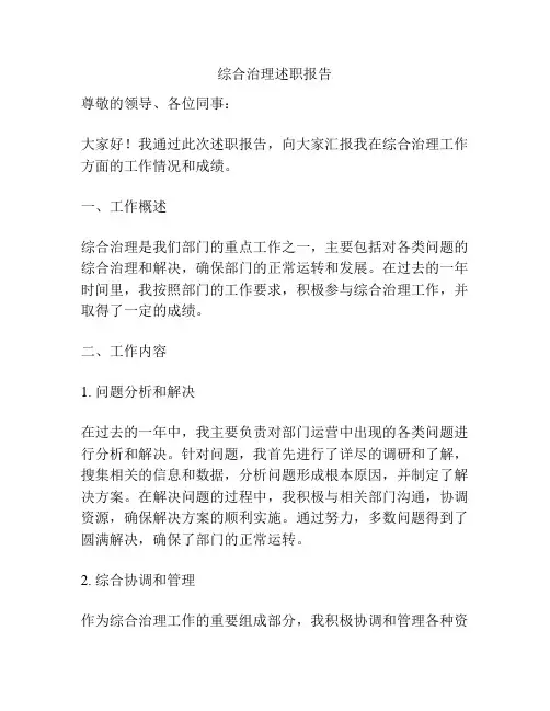 综合治理述职报告