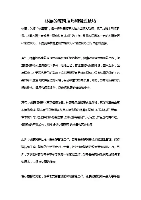 林麝的养殖技巧和管理技巧