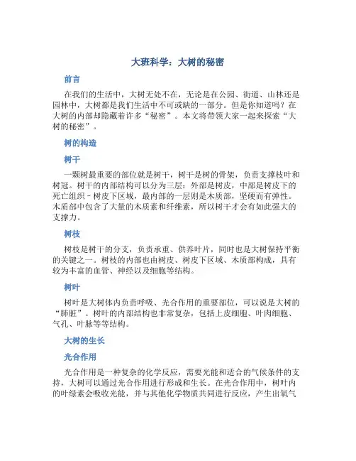 大班科学：大树的秘密