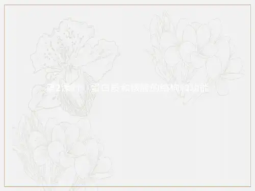 2019_2020学年高中生物2.2.2蛋白质和核酸的结构和功能课件苏教版必修