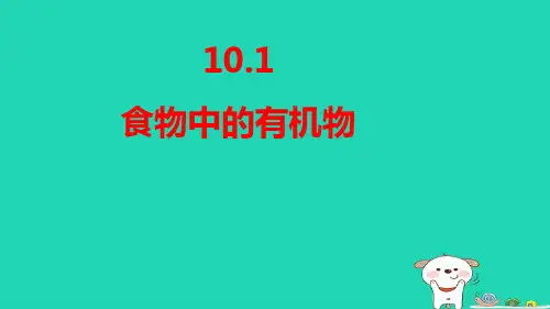 九年级化学下册第10单元化学与健康10.1食物中的有机物pptx课件鲁教版