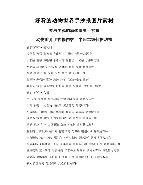 好看的动物世界手抄报图片素材