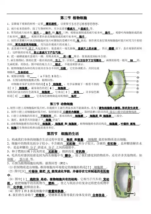 七年级上册生物第二单元第一章知识点+答案
