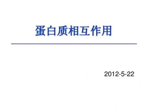蛋白质相互作用