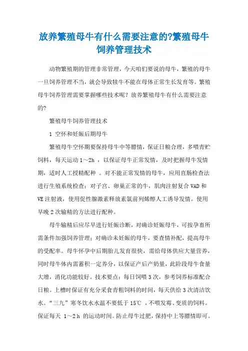 放养繁殖母牛有什么需要注意的-繁殖母牛饲养管理技术