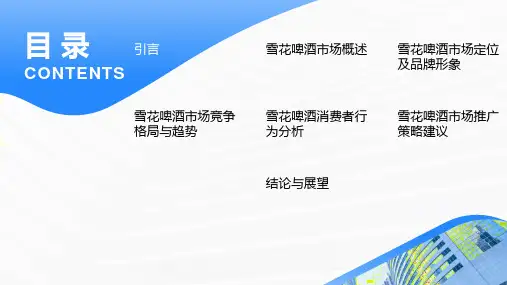 雪花啤酒市场分析调查报告