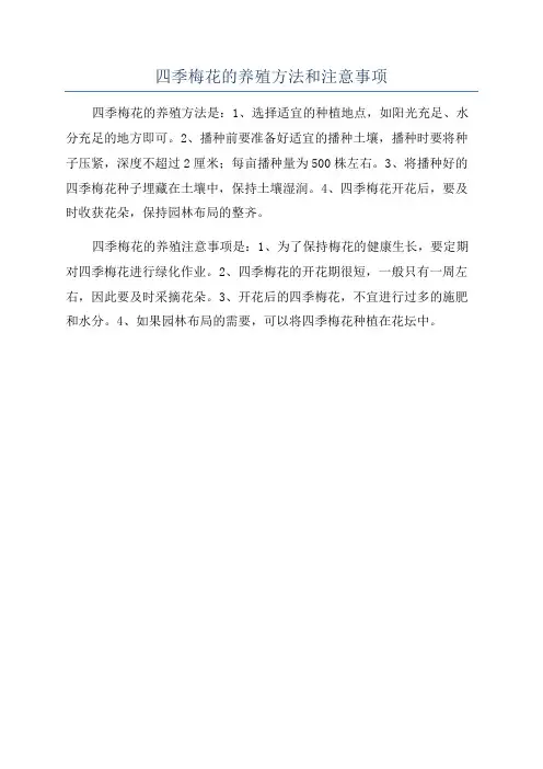 四季梅花的养殖方法和注意事项
