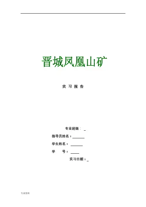 凤凰山煤矿实习报告(安全工程)
