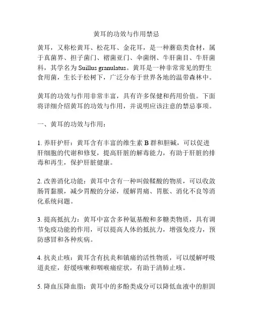 黄耳的功效与作用禁忌