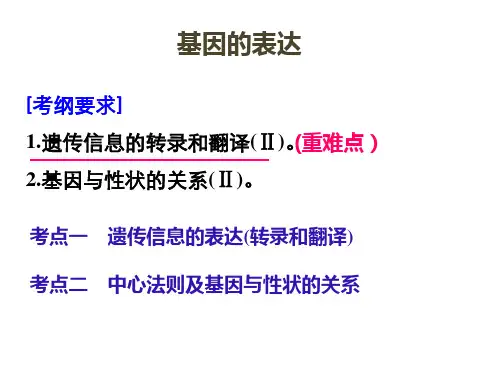 高考生物必修2人教版第4章基因的表达课件