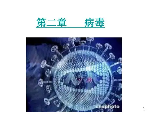 人教版初中生物八年级上册病毒PPT课件