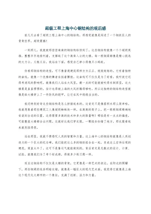 超级工程上海中心钢结构的观后感