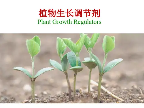 补充材料：植物生长调节剂