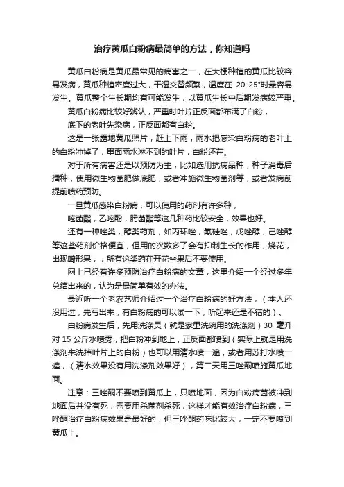 治疗黄瓜白粉病最简单的方法，你知道吗