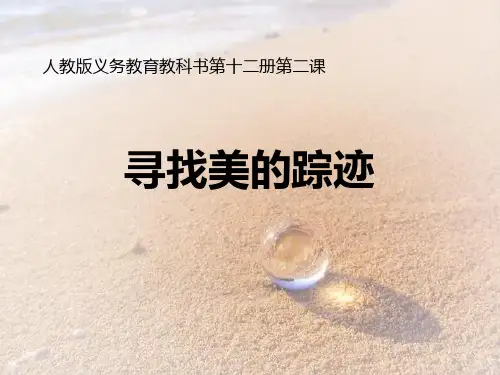 新人教版六年级美术下册《寻找美的踪迹》ppt教学课件