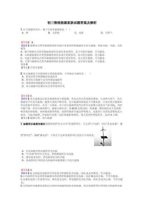 初三物理能源家族试题答案及解析
