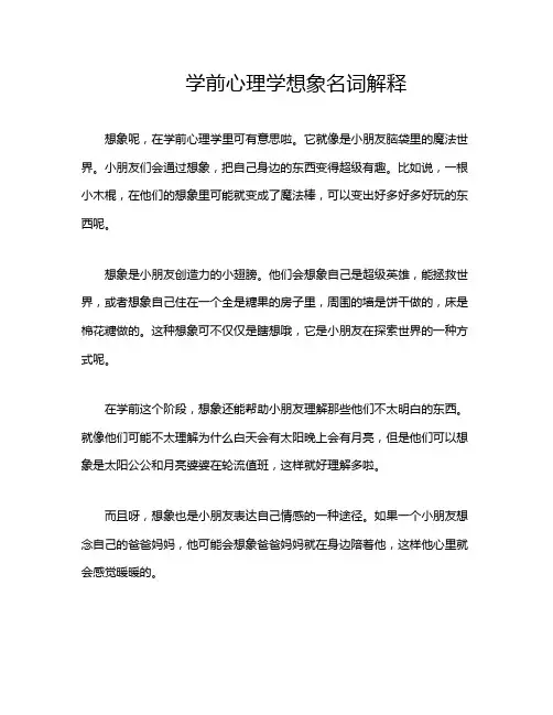 学前心理学想象名词解释