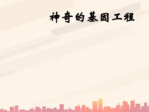 湘教版科学五下4.3《神奇的基因工程》ppt课件