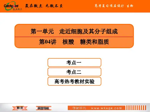高中生物高2020届高2017级一轮复习赢在微点高考复习顶层设计生物1-4
