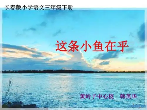 这条小鱼在乎