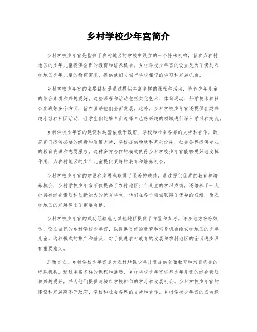 乡村学校少年宫简介