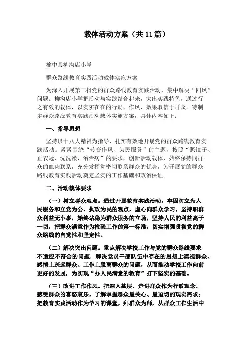 载体活动方案(共11篇)