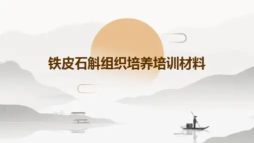 铁皮石斛组织培养培训材料