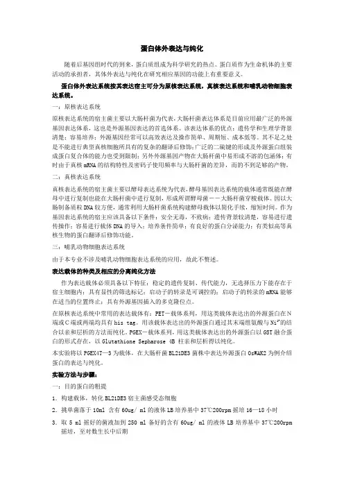 蛋白体外表达与纯化