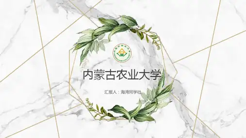 内蒙古农业大学专用-清新风格-PPT模板