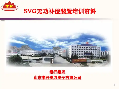 SVG培训资料 (1)