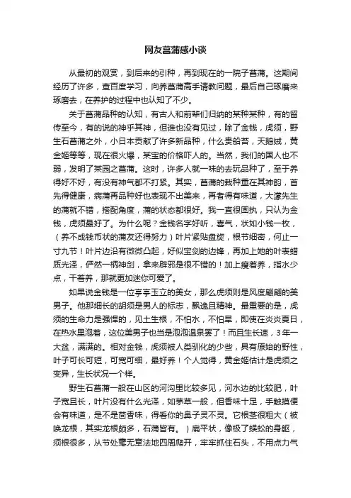 网友菖蒲感小谈
