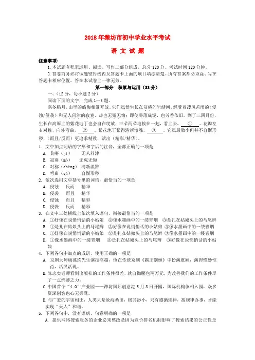 【2018年中考真题模拟】山东省潍坊市2018年中考语文真题试题(含答案)