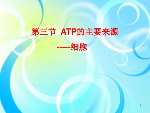 人教版高中生物必修1ATP的主要来源——细胞呼吸(53张)-PPT优秀课件
