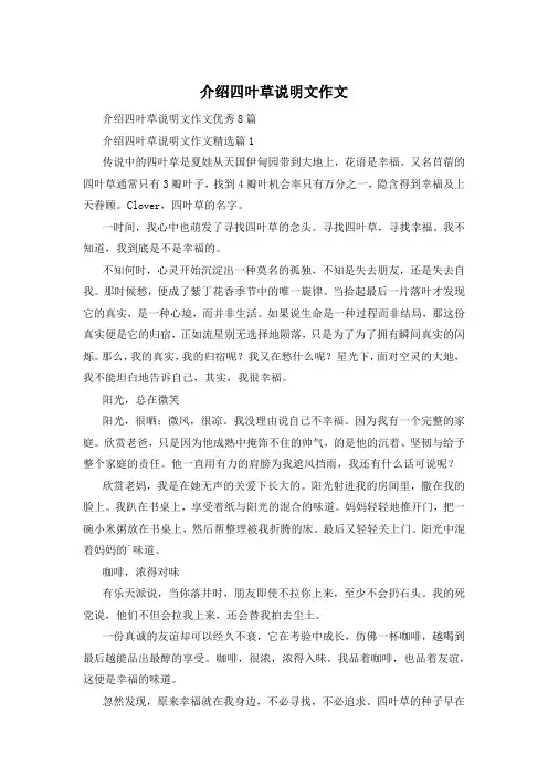 介绍四叶草说明文作文