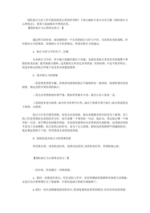 团队执行力心得体会(5篇)