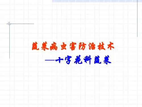 十字花科蔬菜病虫害防治