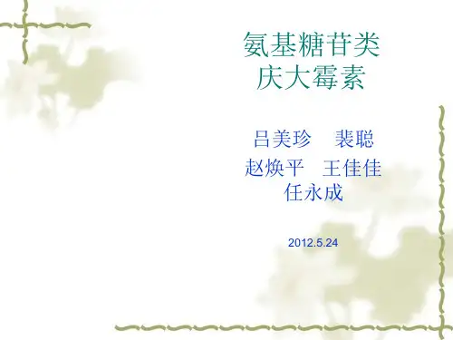 庆大霉素的生产工艺教材(PPT32张)