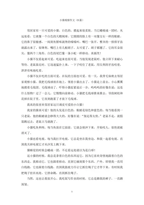小猫观察作文(5篇)