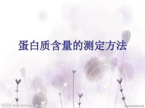 蛋白质含量和核酸含量的测定